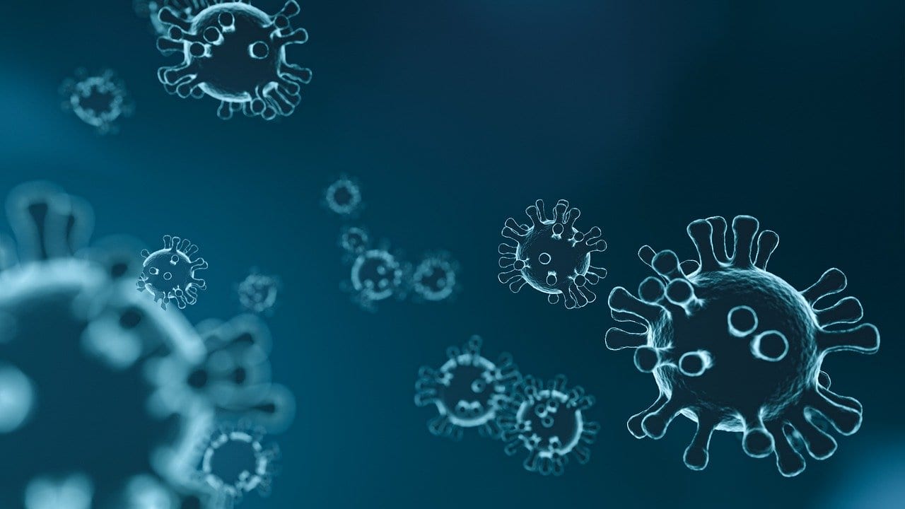 Coronavirus – an alternative view
