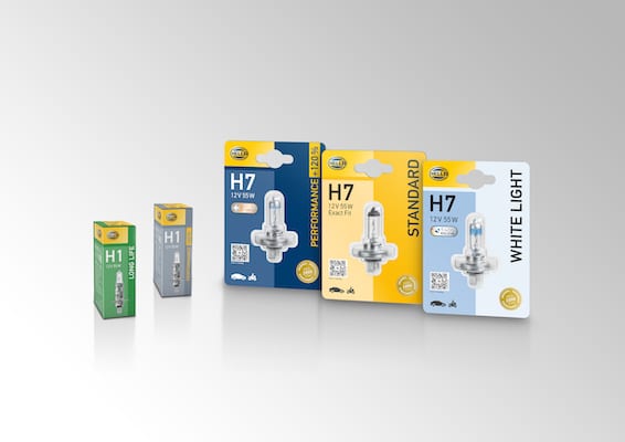 What bulbs should workshops upsell?