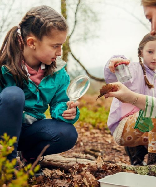 Recharge in Nature projects announced by BMW
