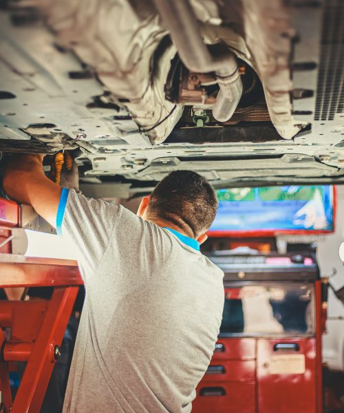 Government urged to help end skills shortage