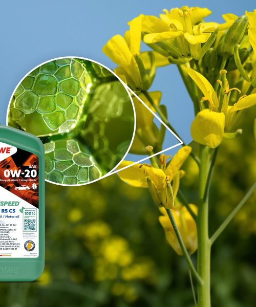 ROWE Sunspeed offers sustainability to lubricants market