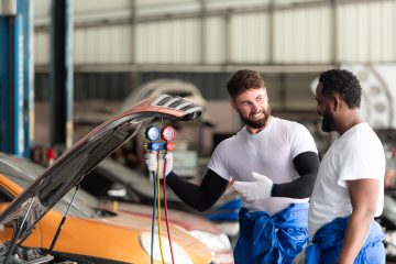 Training: What you need to know