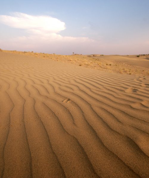 Sahara trek highlights dedication for IGA Chairman